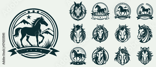 Collection of horse-themed logos and emblems featuring full body and head designs in a classic style.