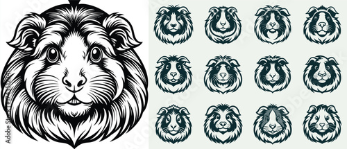 Collection of monochrome guinea pig head illustrations in a detailed vintage engraving style, isolated on a white background.