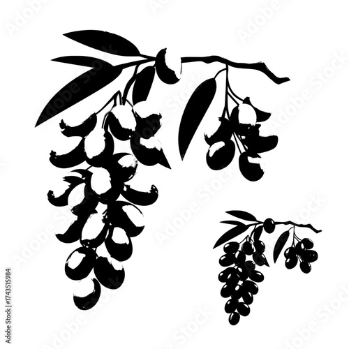 A realistic illustration of natural sea buckthorn branches featuring green leaves and fresh orange berries, isolated on a transparent background, is presented in a modern style