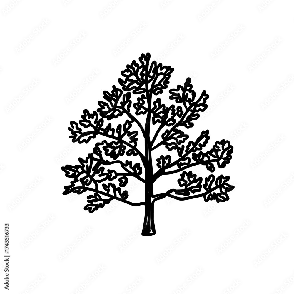 Obraz premium The cad tree line drawing features a minimalist style, showcasing a side view of various tree elements in outline form, suitable for architecture and landscape design, with a modern white fill-in