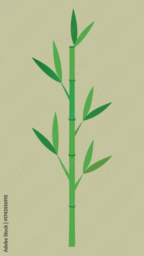 Naklejka premium Minimalist bamboo stalks green leaves vector illustration vector