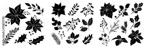Illustration of modern winter Christmas featuring red flowers, mistletoe leaves, and branches, along with hand-painted poinsettia and red berries, forming a cozy and cute flat icon set