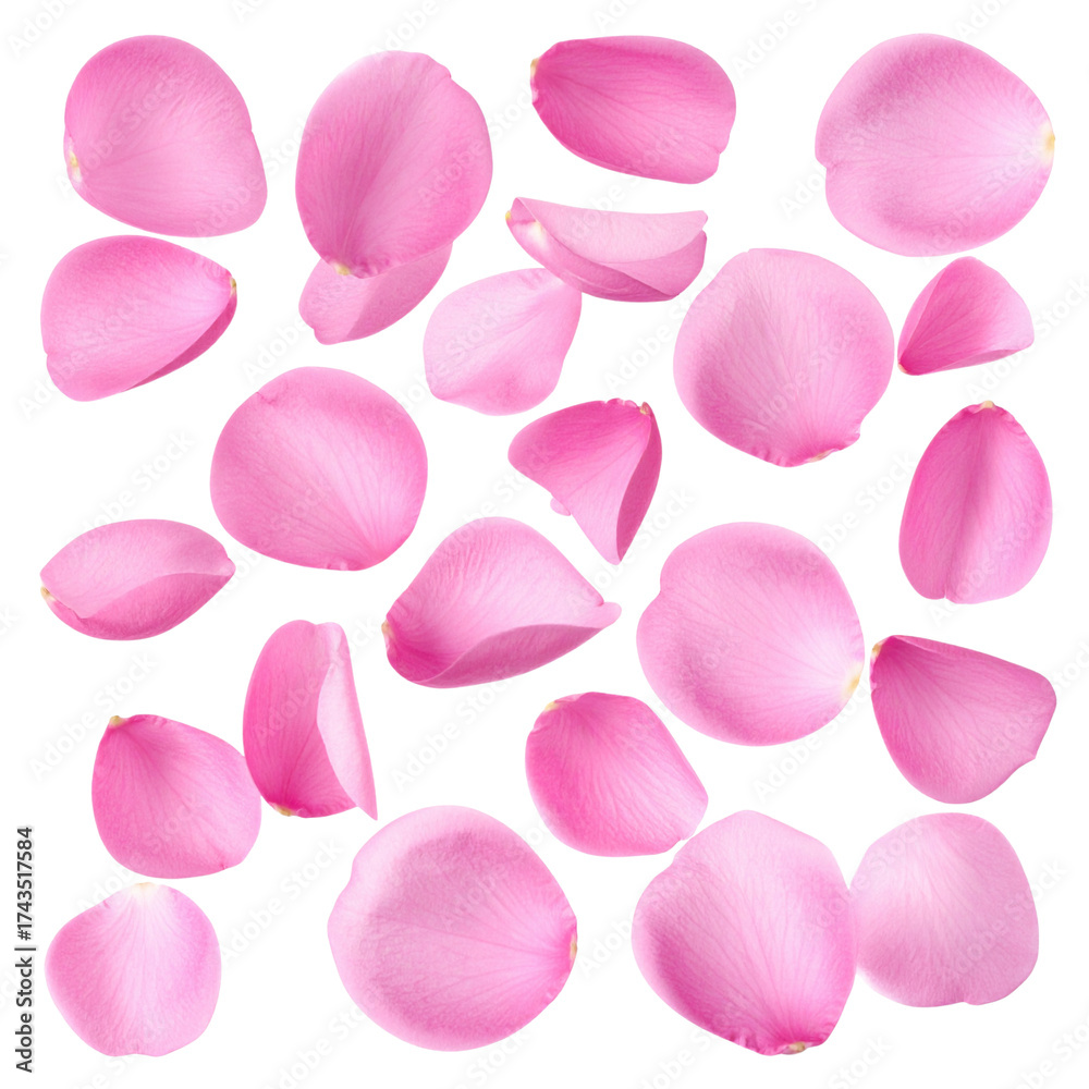 © wanna - A delicate pattern of pink rose petals creates a seamless and floral texture perfect for a spring or valentine design