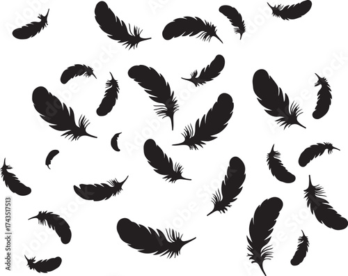 Scattered black feathers falling against a white background