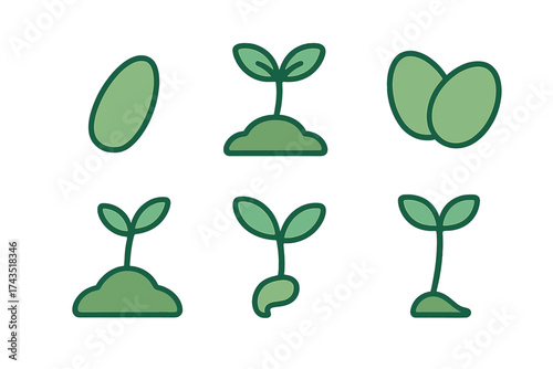 Six stages of plant growth from seed germination to young seedling sprout
