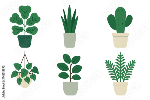 Six popular indoor houseplants in decorative pots for home decor and gardening