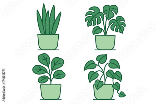 Collection of four popular indoor houseplants in pots on a white background
