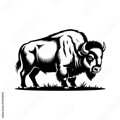 Vector art of bison illustration