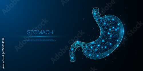 3D abstract illustration human stomach organ in low poly wireframe style, concept gastric care, modern geometric technology. Vector illustration.