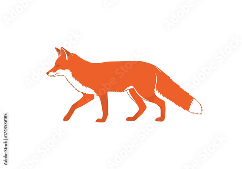 Vector illustration of orange fox walking