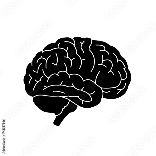 Human brain silhouette icon simplified medical anatomy symbol silhouette symbolizing intelligence and thought process detailed cerebral cortex graphic isolated on white background