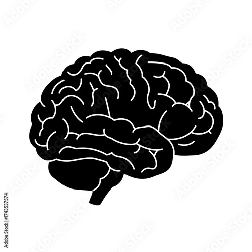 Silhouette of a human brain silhouette of a human brain with intricate gyri and sulci representing cognition and intelligence isolated on white background