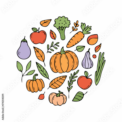 Autumn fruit and vegetable element set, vector illustration