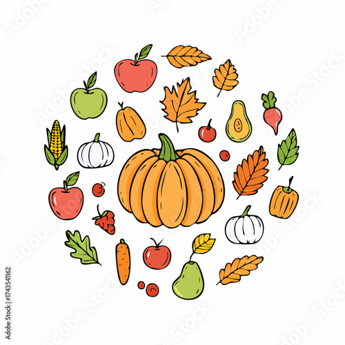 Autumn fruit and vegetable element set, vector illustration