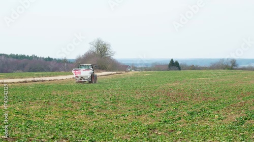 A wheel tractor spreads dry chemical fertilizer on a field in early spring. Agricultural work and soil preparation for the sowing season.