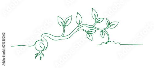 A hand-drawn doodle of a sprouting plant in a continuous line art style.
