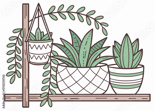 Potted Plants on Wooden Shelf: A charming collection of potted plants with lush green foliage adorns a simple wooden shelf, perfect for adding a touch of nature to any space. 