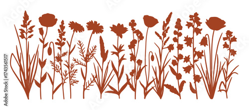 A floral set for spring or summer featuring black silhouettes of wild herbs and flowers from the meadow. Wild flowers. Vector illustration