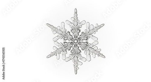 Closeup of a snowflake isolated on white background, revealing its intricate crystalline structure formed during freezing process
