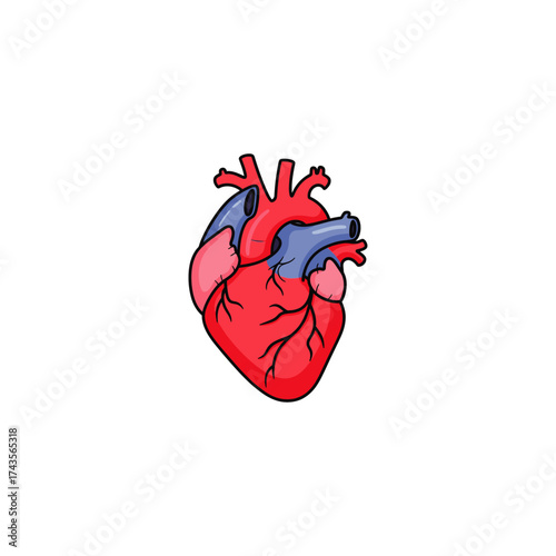 Human Heart icon flat vector design.