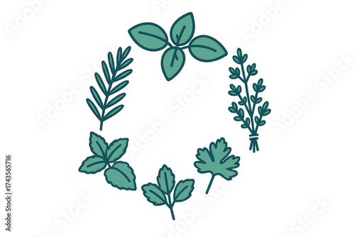 Stylized arrangement of fresh culinary kitchen herbs forming a decorative circular border