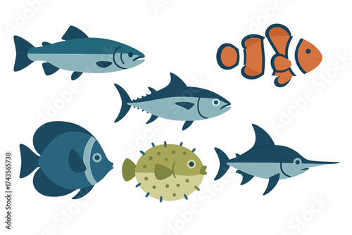 Various marine fish species collection including tuna, clownfish, and swordfish