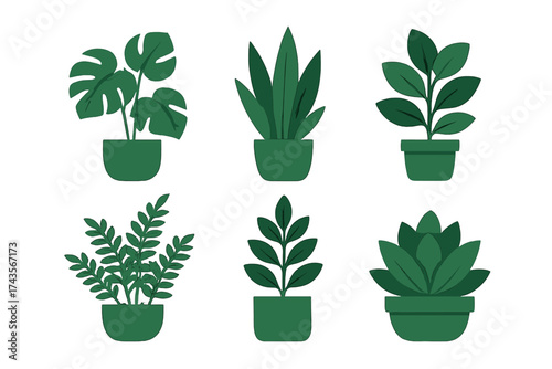Stylized collection of six popular indoor houseplants in dark green pots and foliage
