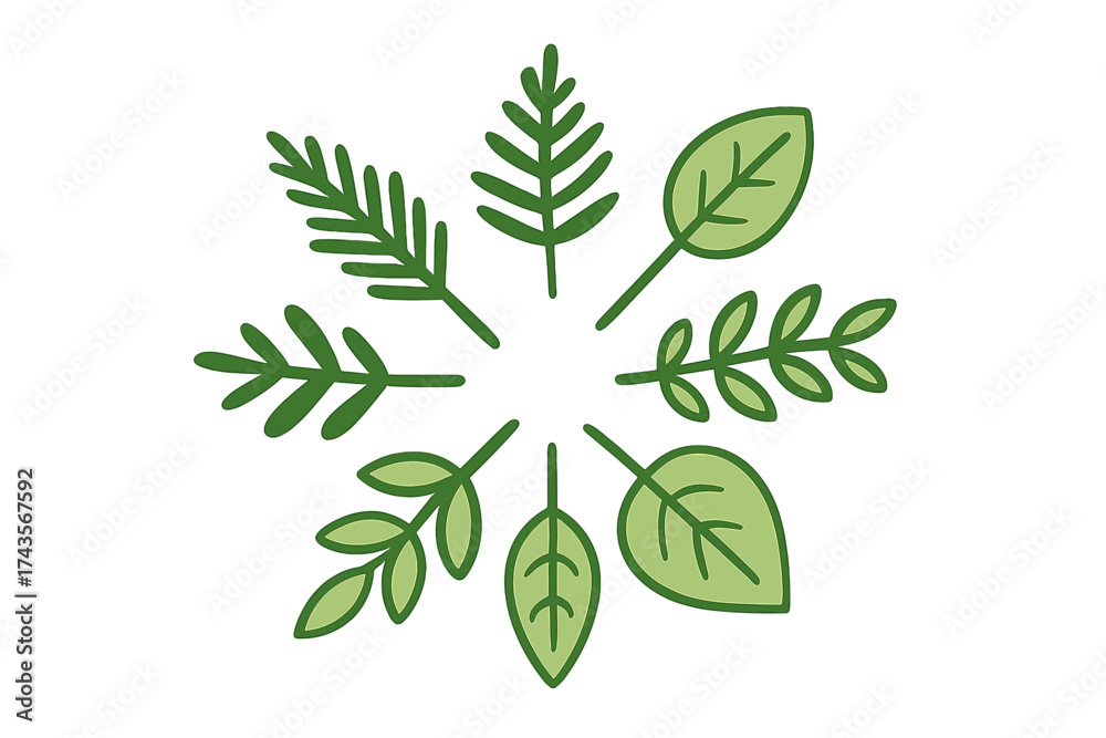 Naklejka premium Stylized radial botanical design featuring diverse green leaves and sprigs