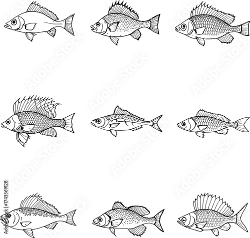 Fish icon set in black and white line style showing diverse species with detailed fins, scales, and anatomical features