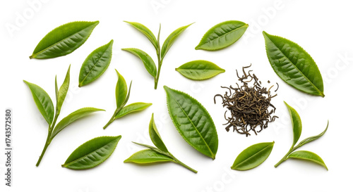 Fresh green tea leaves isolated on white background, arranged with dried tea leaves, showcasing the natural ingredients for a healthy beverage