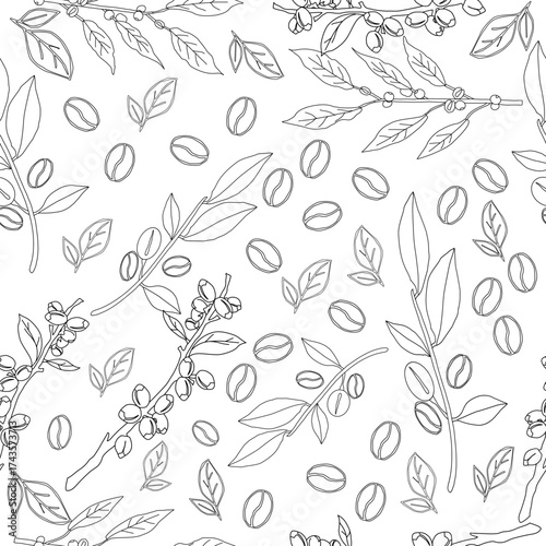 Seamless floral pattern. Branch with leaves. vector illustration of coffee branch. Coffee plant branch with leaf. Hand drawn Coffee tree vector. Coffee beans and leaves. Branch of a plant.	
