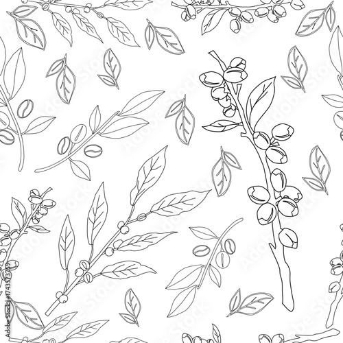 Seamless floral pattern. Branch with leaves. vector illustration of coffee branch. Coffee plant branch with leaf. Hand drawn Coffee tree vector. Coffee beans and leaves. Branch of a plant.	
