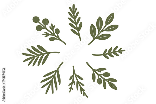Stylized collection of various green leaves and berry branches forming a circular frame