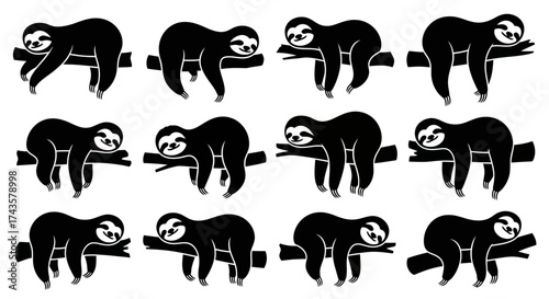 Set of twelve adorable sloths in various sleeping and resting poses on branches.