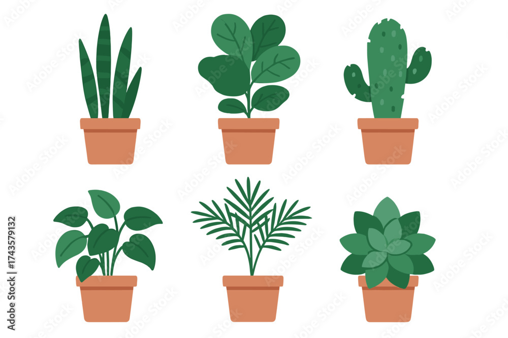 Fototapeta premium Six different popular potted houseplants collection isolated on white background