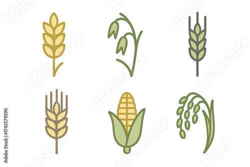 Stylized agricultural symbols featuring common cereal grains: wheat, oat, corn, and rice