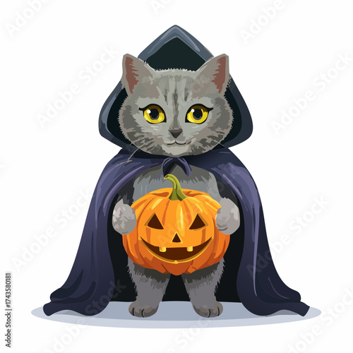 Cartoon cat wearing a dark hooded cloak holding a carved pumpkin, isolated on white.