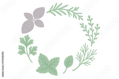 Minimalist circular arrangement of fresh culinary herbs and spices on a clean white background