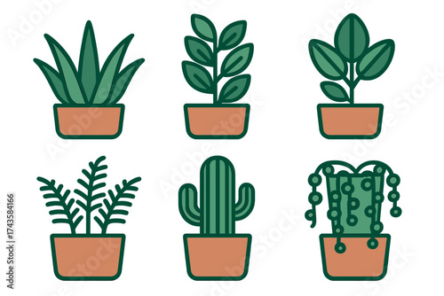 Six decorative indoor potted plants including various succulents and green foliage for home decor