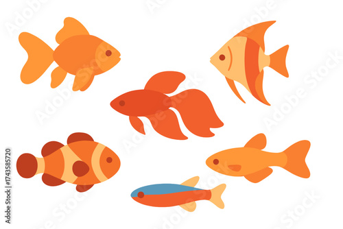 Vibrant collection of colorful tropical and freshwater aquarium fish swimming together