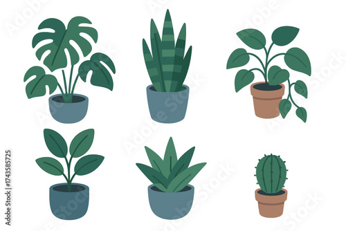 Six popular potted indoor houseplants set including monstera and snake plant