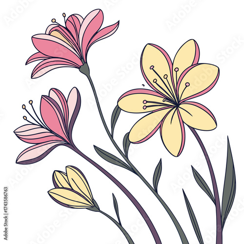 Delicate illustration of stylized pink and yellow lilies with dark stems and leaves against a white background
