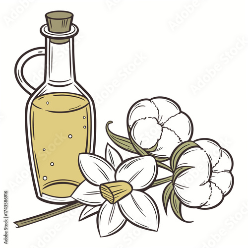 Illustration of a glass bottle filled with golden oil next to a white daffodil flower and fluffy cotton bolls