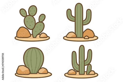 Four different desert cactus plants growing in arid sandy soil with small rocks