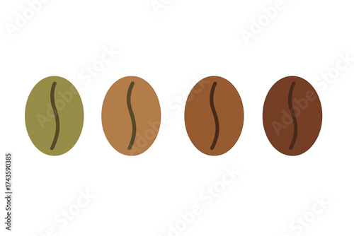 Four coffee beans illustrating the roasting process from green raw bean to dark roasted bean
