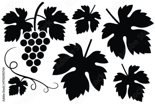 A black and white vector illustration of grape vine elements, including a bunch of grapes and various leaf silhouettes isolated on white