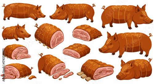 Brown illustrated whole pigs and various cuts of tied roasted meat