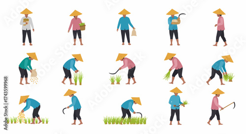 Set of flat icons showing various rice farming tasks performed by farmers