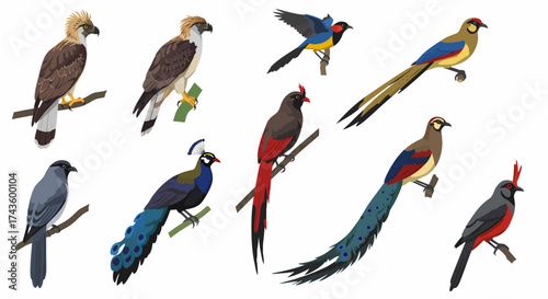 Ten distinct species of colorful tropical birds perched on branches
