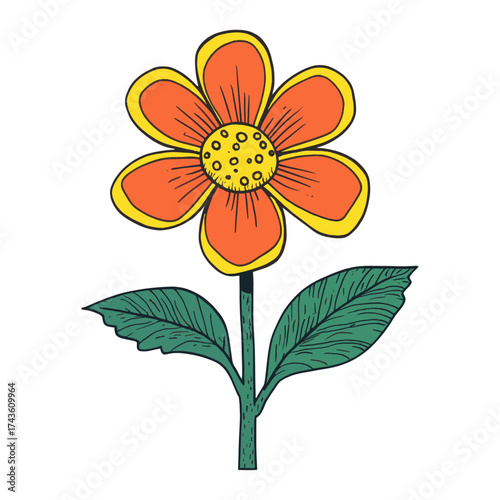 Flower illustration petals asteraceae vector